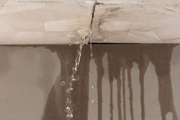 Professional Flood Damage Cleanup technician working in Moscow, ID